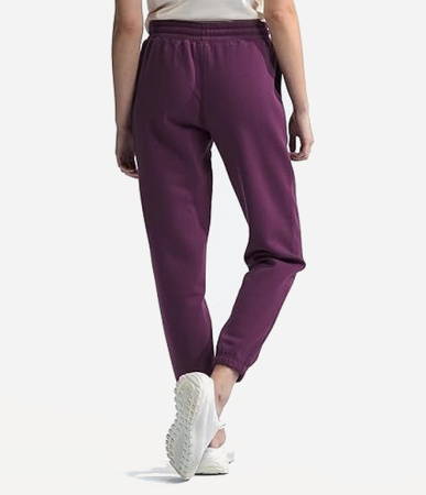 Брюки TNF W Half Dome Fleece Sweatpant (Женский; L; BlackCurrant Purple)